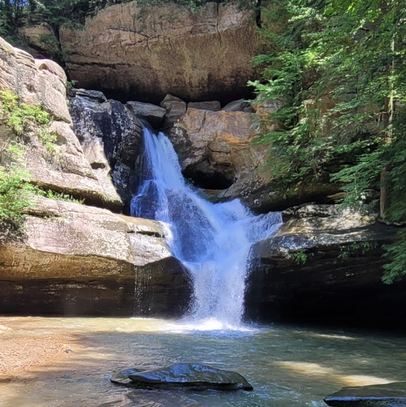 Meet your Posher, Jerry - Picture 3 of 17